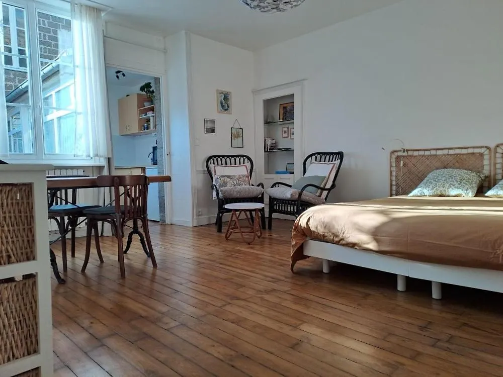 Studio Plein Centre 돌드브레테인
